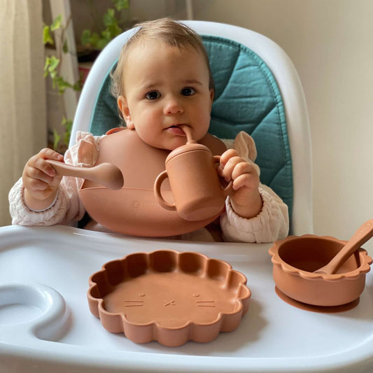 set vaisselle en silicone terracotta
